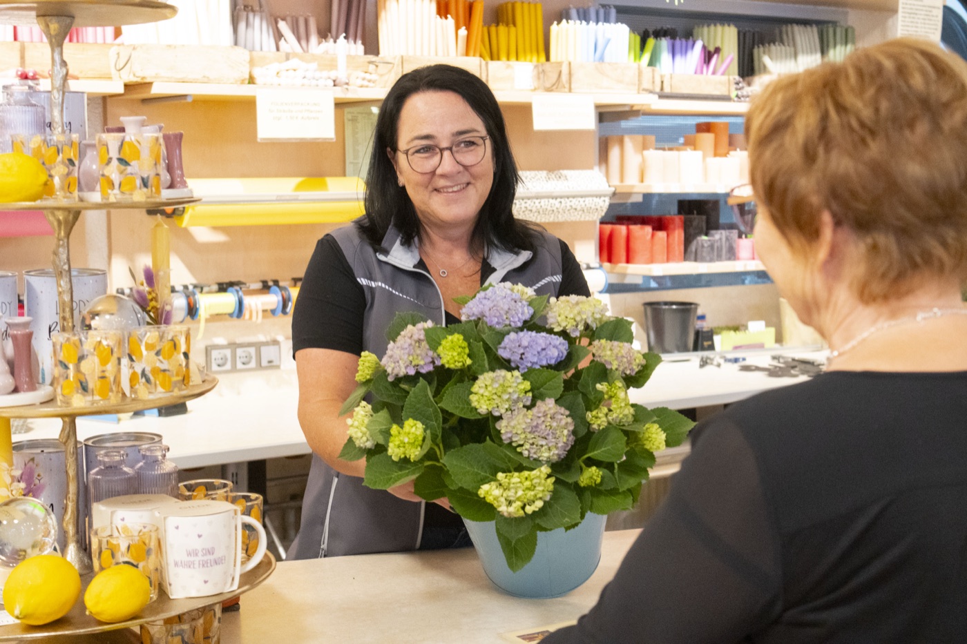 Übergabe einer Hortensie an der Ladentheke